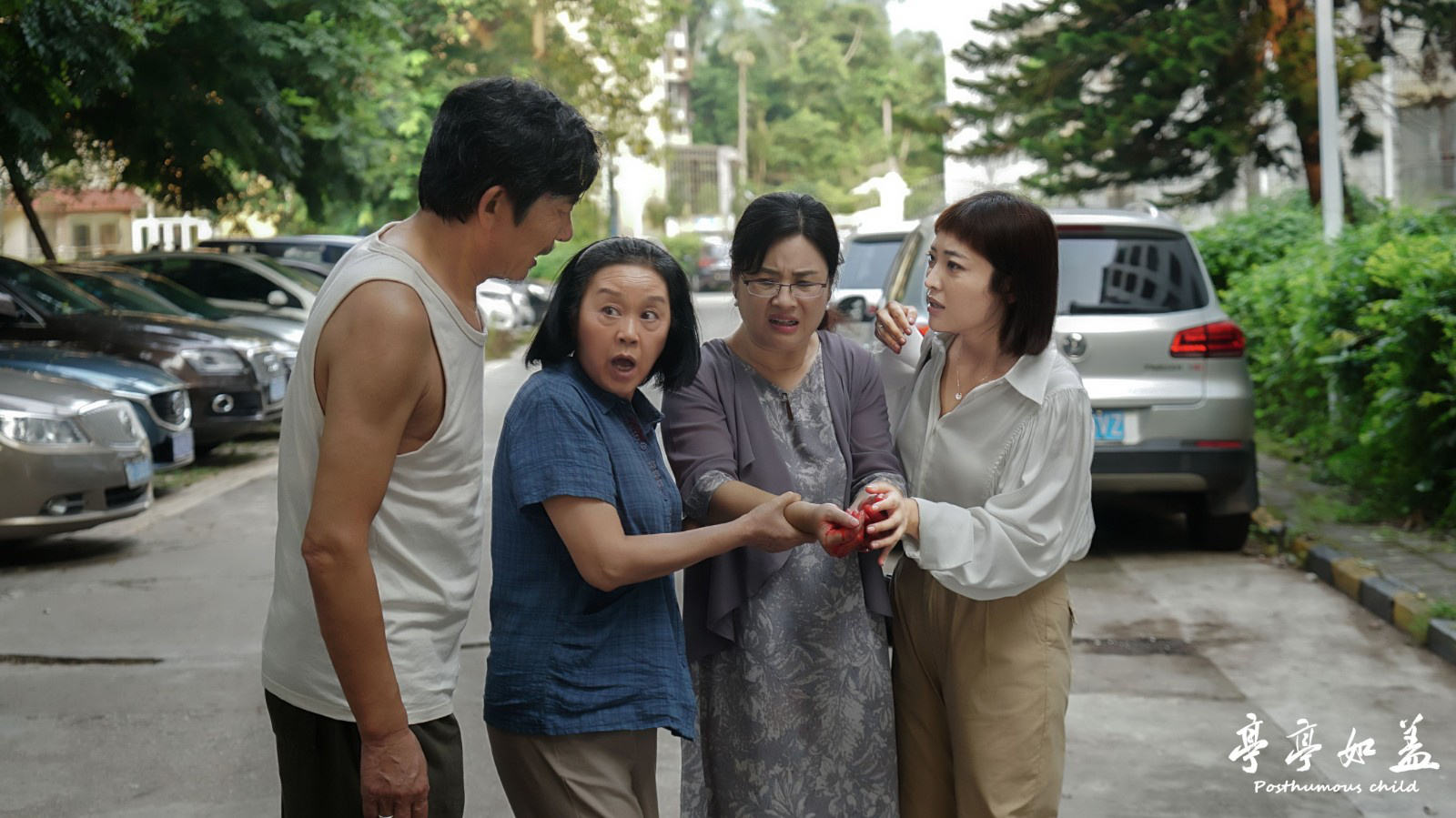 郭月主演的《亭亭如盖》发布新预告 4月15日上映
