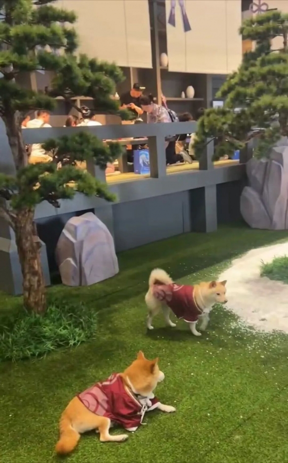 游侠网6