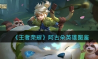 《王者荣耀》攻略——阿古朵英雄图