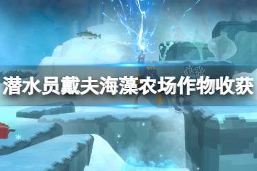 《潜水员戴夫》攻略——海藻农场作
